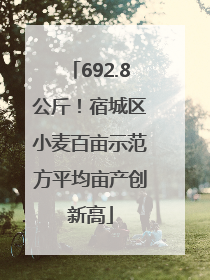 692.8公斤！宿城区小麦百亩示范方平均亩产创新高